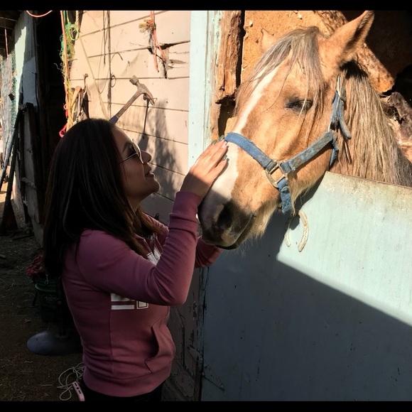 Meet your Posher, Cesily - Picture 1 of 1